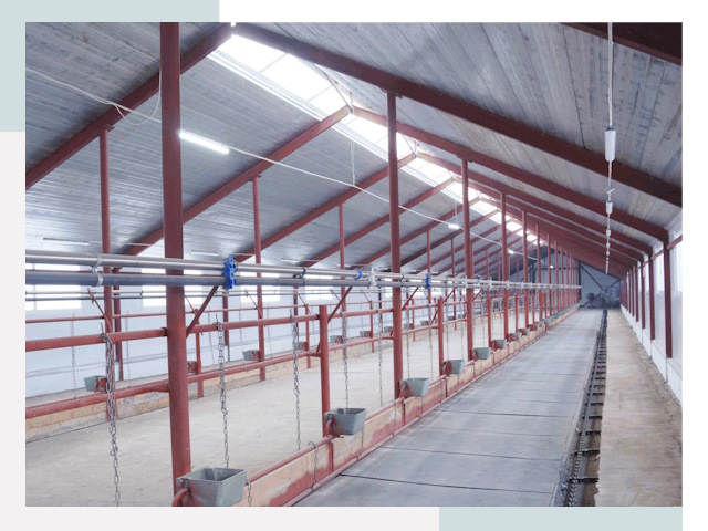 Строительство коровников в Дальнегорске от 618 руб.