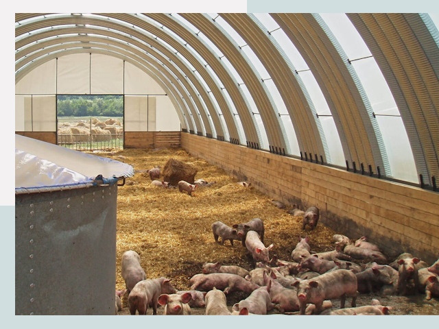 Строительство свинарников в Дальнегорске