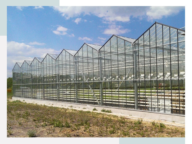 Строительство теплиц в Дальнегорск от 618 руб. за м²